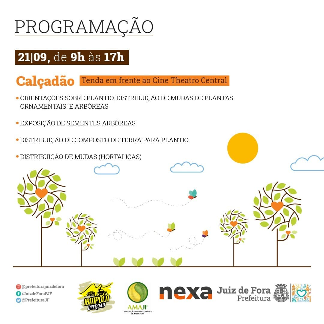 Ações da AMAJF na semana da árvore.  Acompanhe nossas atividades.