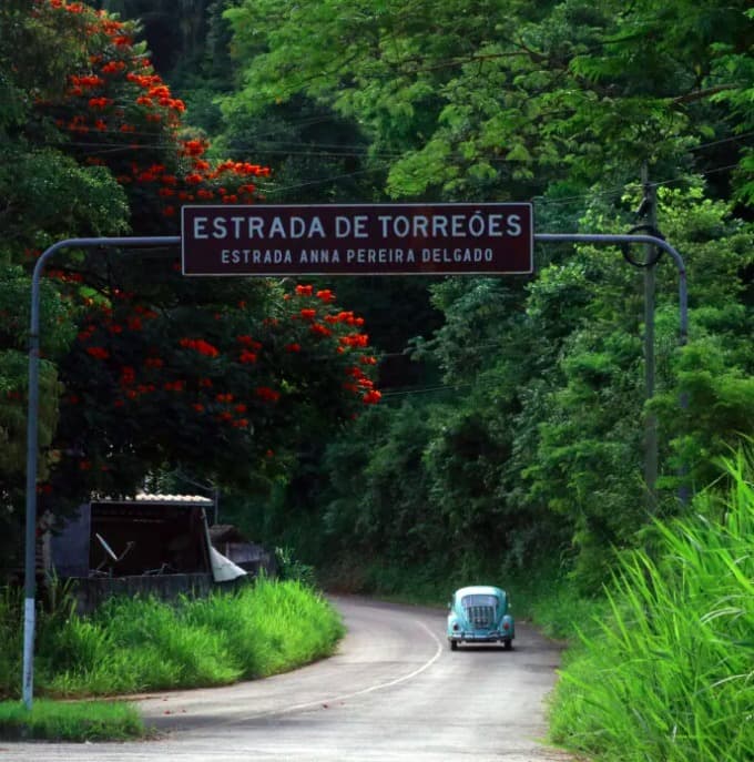 Incentivo a área rural, arborização urbana e saneamento ambiental.