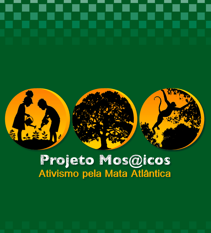 E-BOOK PROJETO MOSAICOS