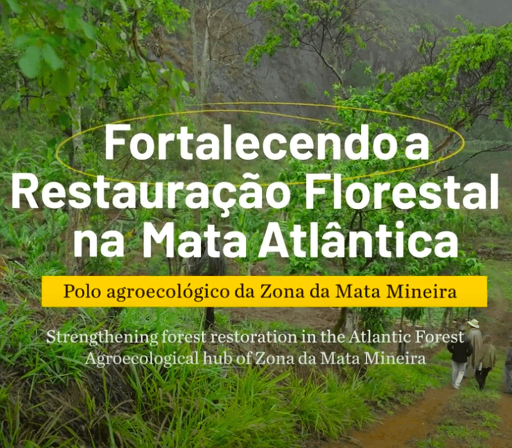 Restauração na Zona da Mata Mineira