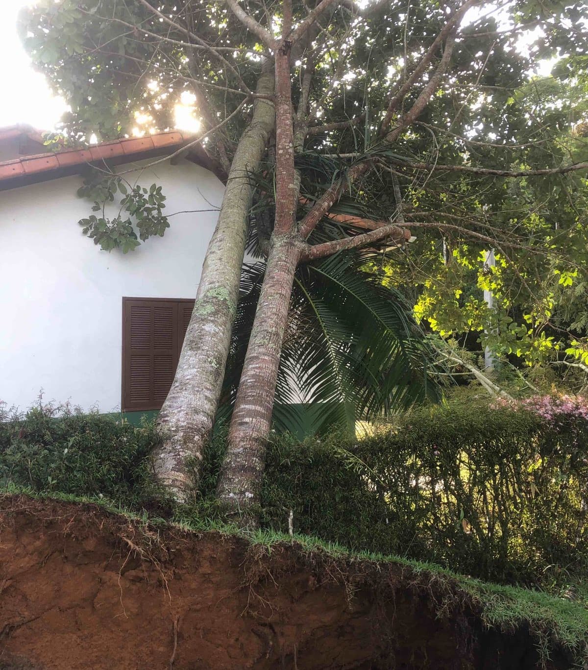 A Natureza mostra sua força